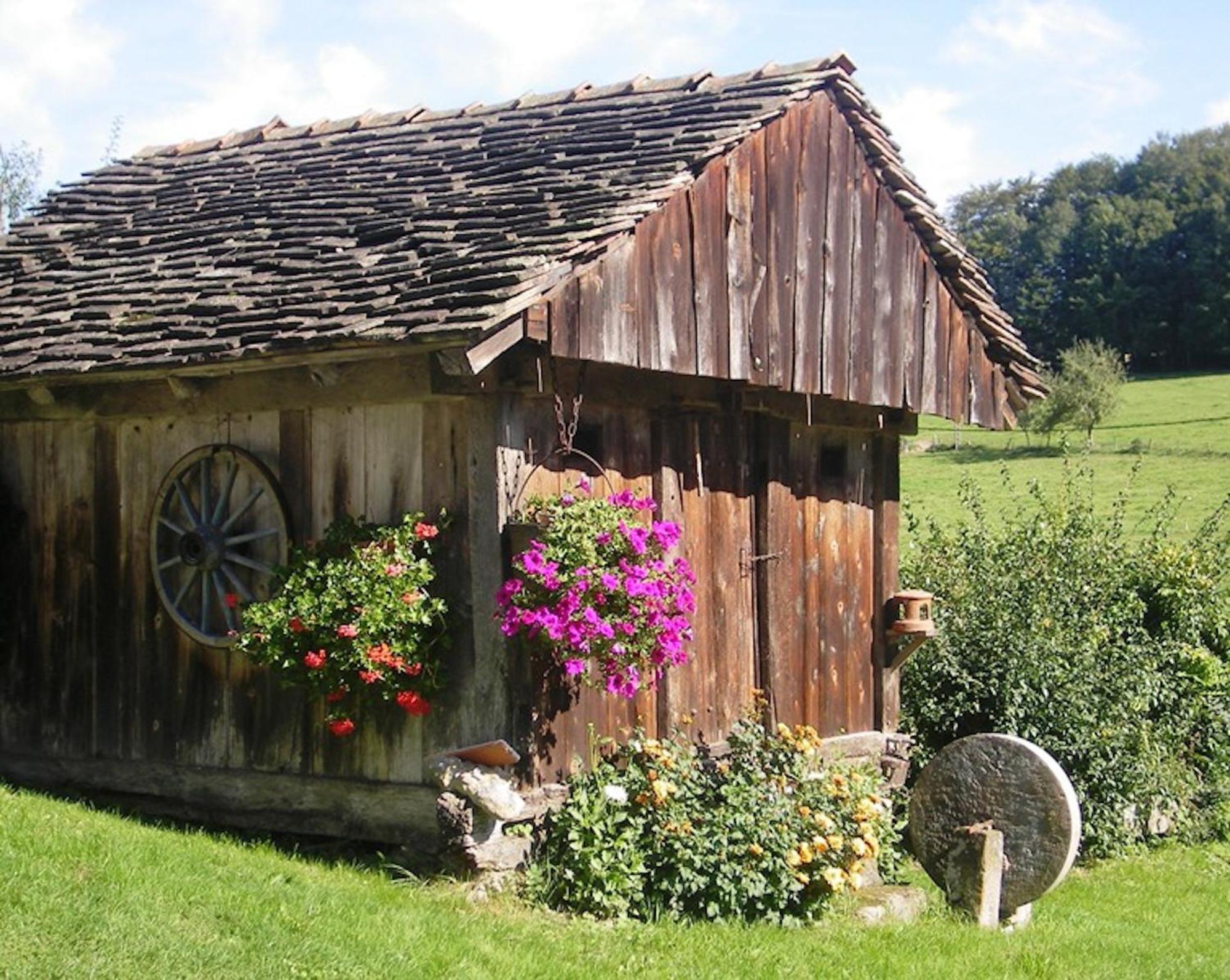 Chalet Résidence La Combeauté Girmont-Val-dʼAjol Exterior foto